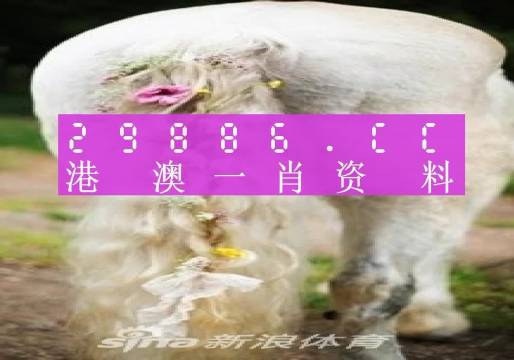 今晚必中一肖一码四不像,专业地调查详解_黑科技版9.262