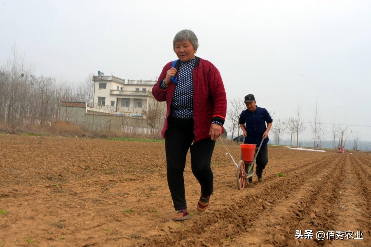 尿素价格行情今日尿素价格,尿素价格行情与心灵旅行的奇妙缘分