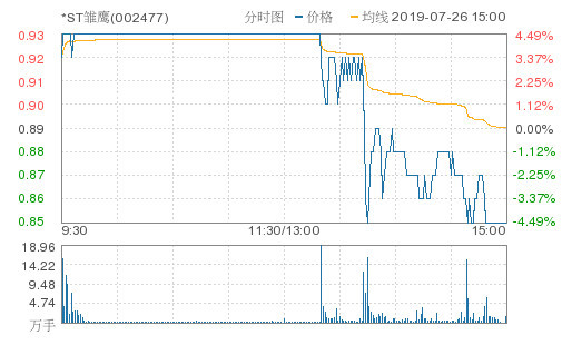 雏鹰股票,探究潜力与价值分析