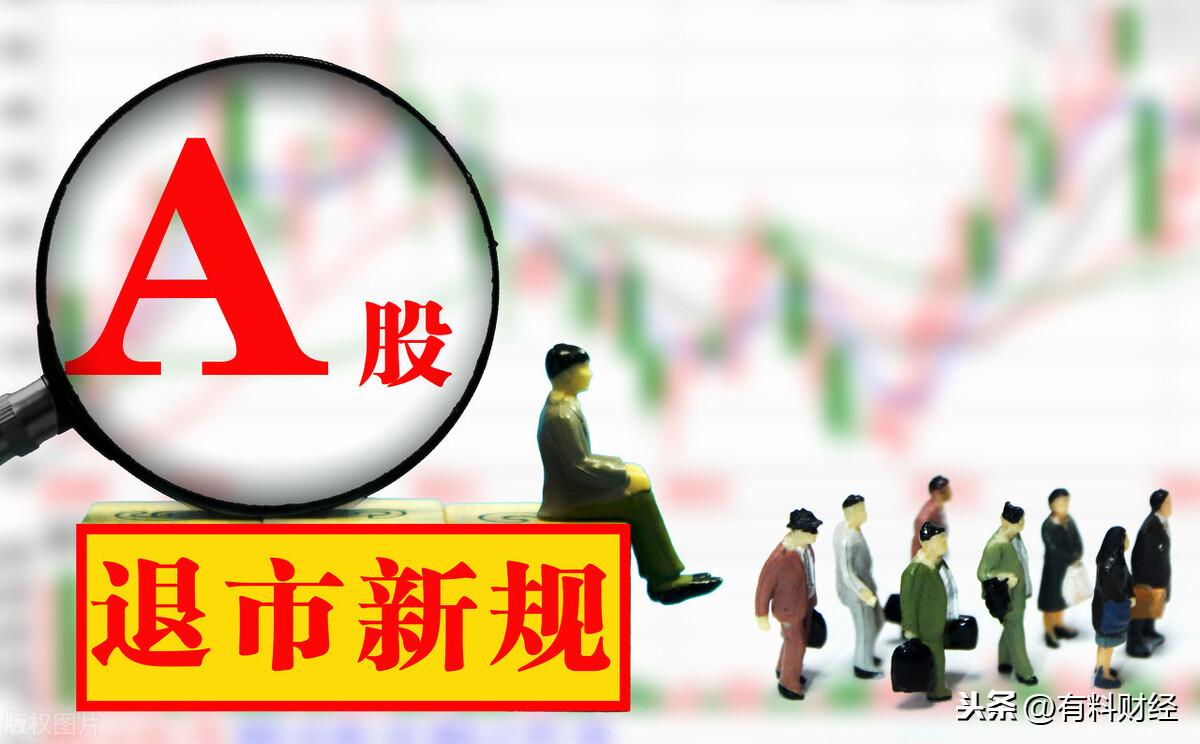 深度解析,股票退市后的再度上市可能性与路径探讨
