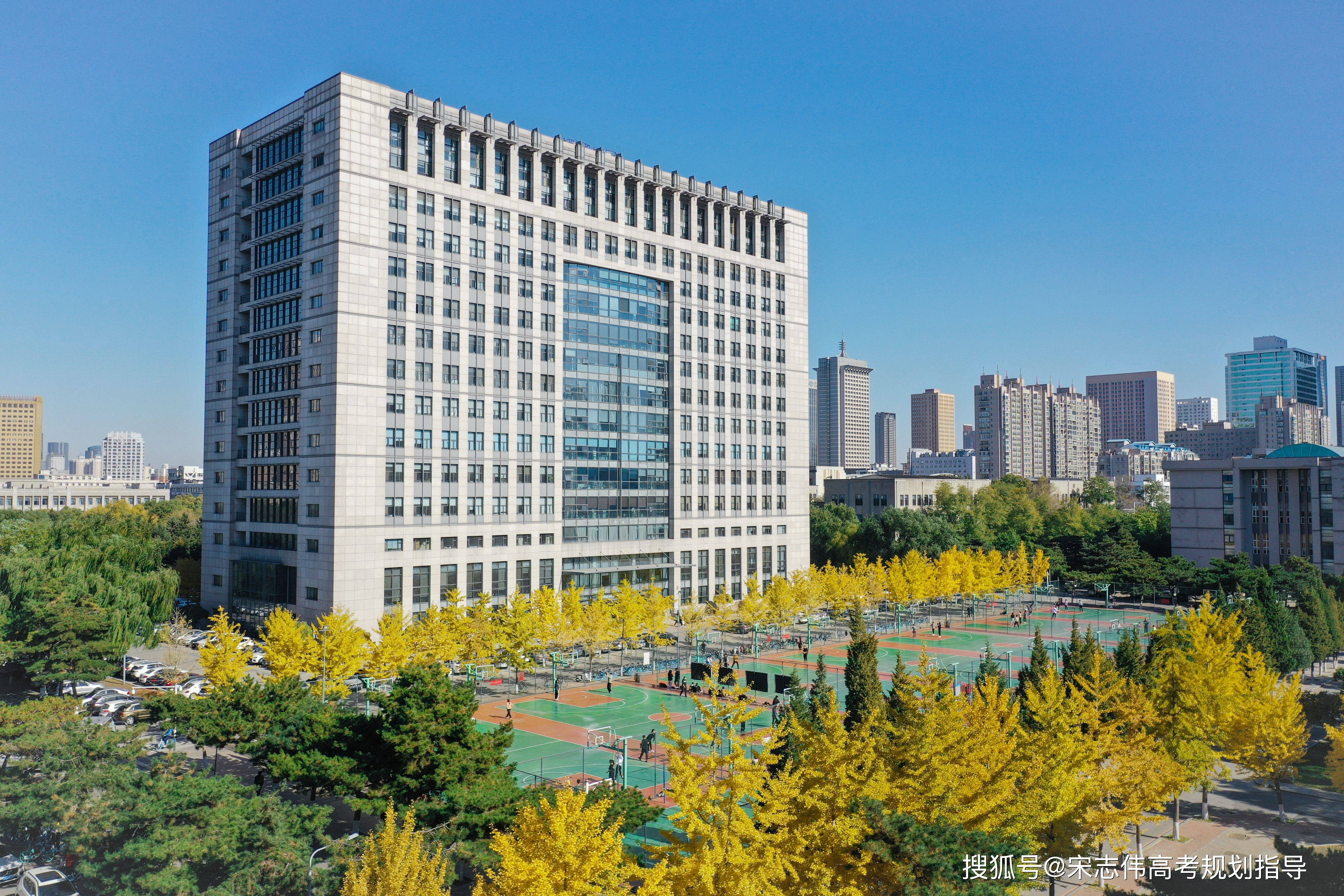 东北大学合并最新进展，校园内的友情成长与融合故事