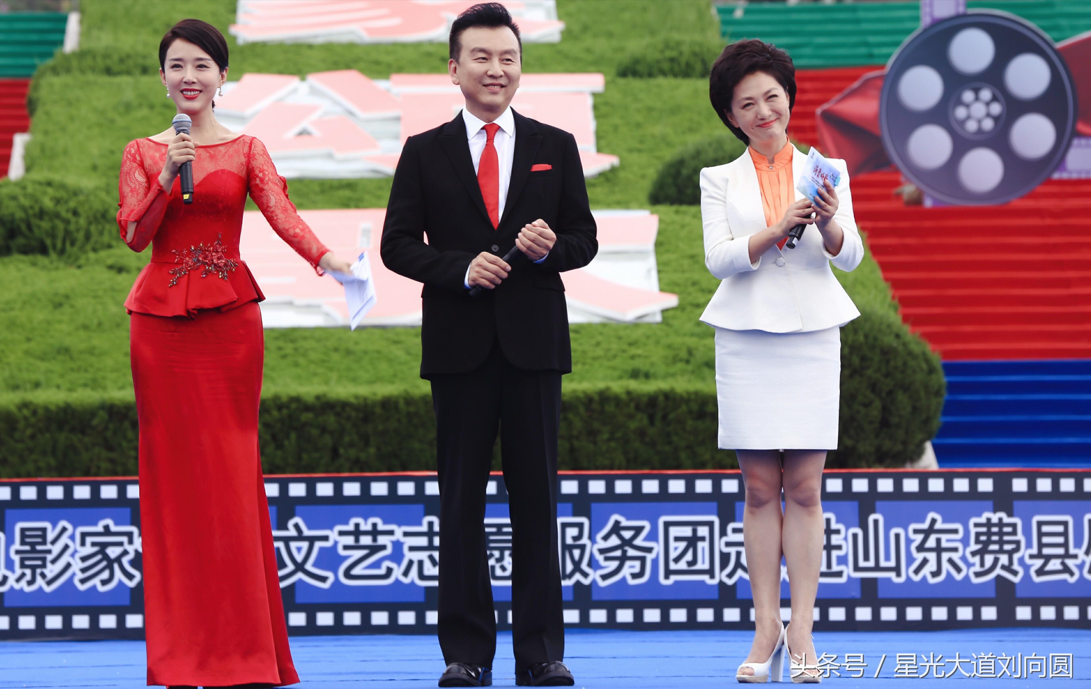 费县演员，演技与影响力的深度探讨
