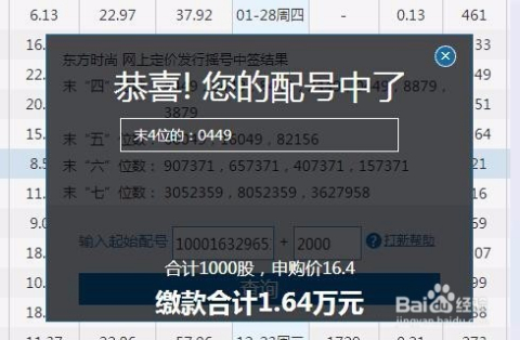 新股缴款后多久上市，背景、历程、地位全解析