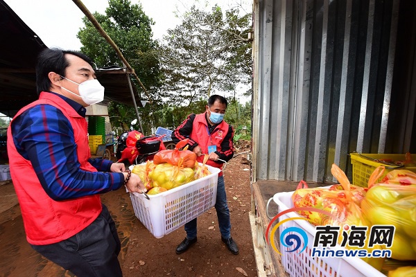 海口最新疫情动态及其观点论述