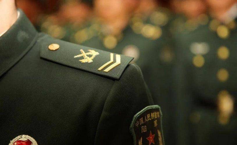 士官改革最新动态，自信与成就并驾齐驱，开启新的励志征程