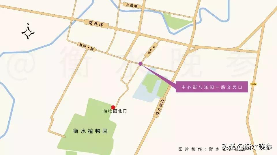 衡水植物园最新消息,衡水植物园最新消息,科技与自然共舞,打造未来生态体验新纪元