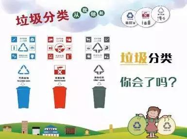港股泰山石化科技革新引领未来生活新体验