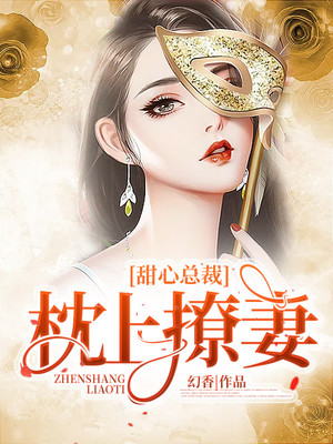 枕上撩妻有道最新章节深度解析与个人观点