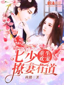 枕上撩妻有道最新章节深度解析与个人观点