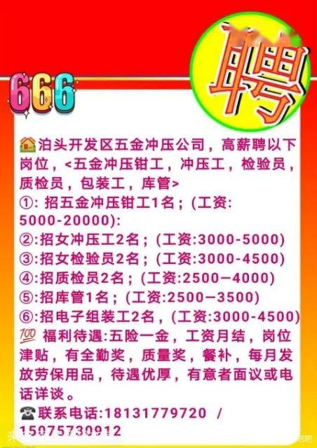 泊头三井最新招聘信息,变化中的机遇,学习成就未来之路