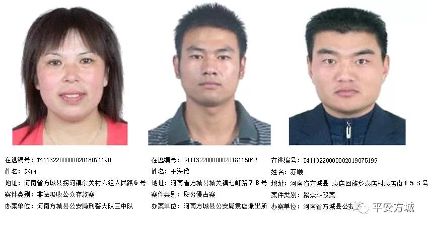镇平最新通缉，聚焦与深思的背后