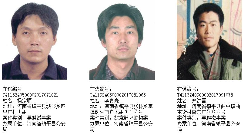 镇平最新通缉，聚焦与深思的背后