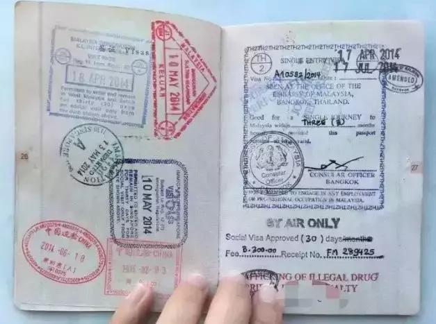 最新科技护照页，全球畅行的革新之作，开启新纪元之旅