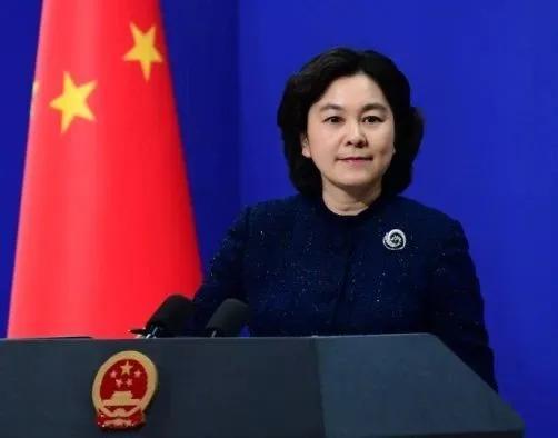 华春莹的最新动态,力量在变化中彰显,自信与成就感伴学习成长之路