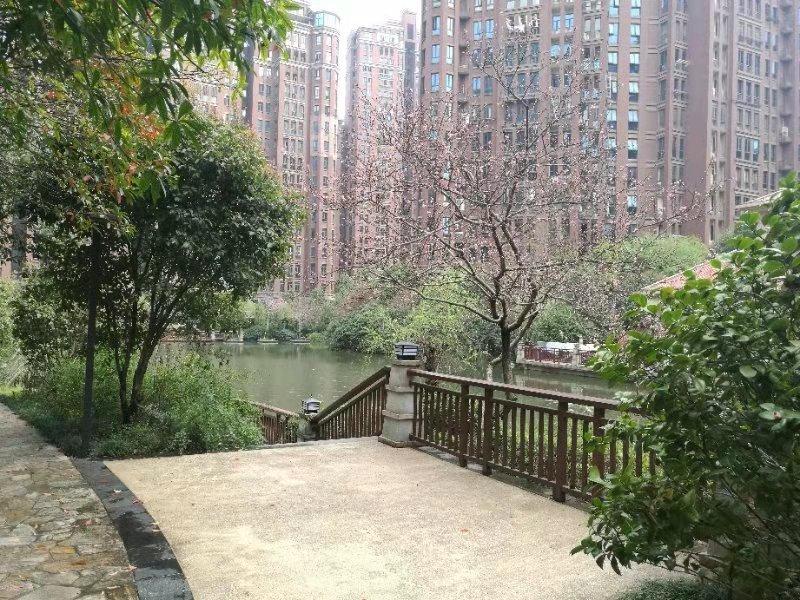 长沙限购最新消息，政策调整与市场走势深度解析
