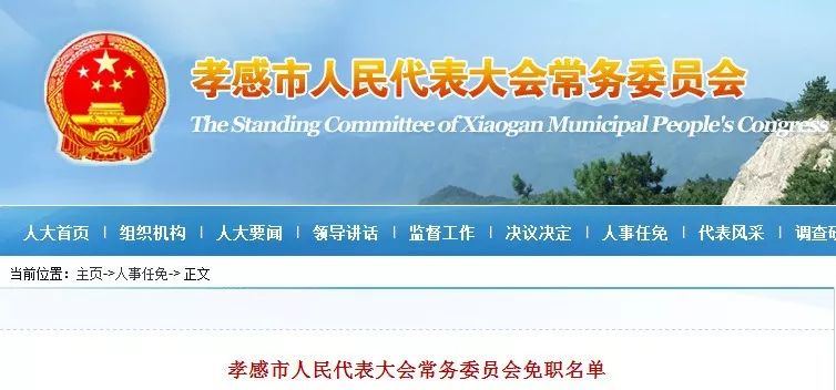 孝感郑香元，最新任免与友情的温馨篇章及日常故事揭秘