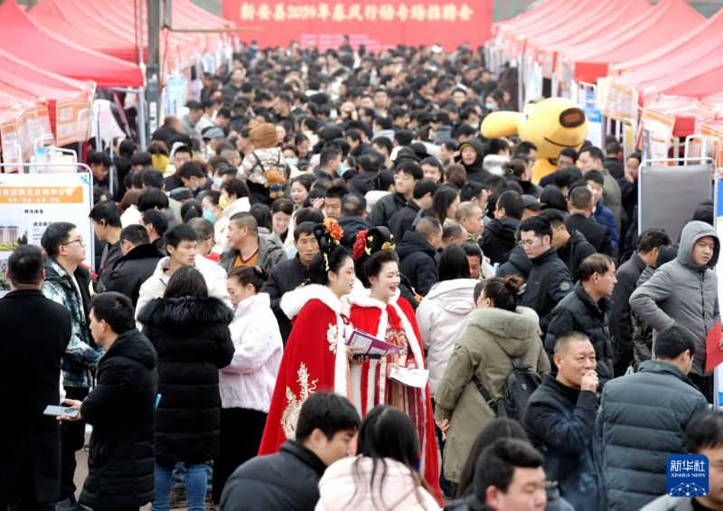 洛阳装卸工招聘指南，最新职位及申请步骤详解