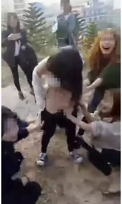 博白大事件揭秘，意料之外的友情考验与日常趣事回顾