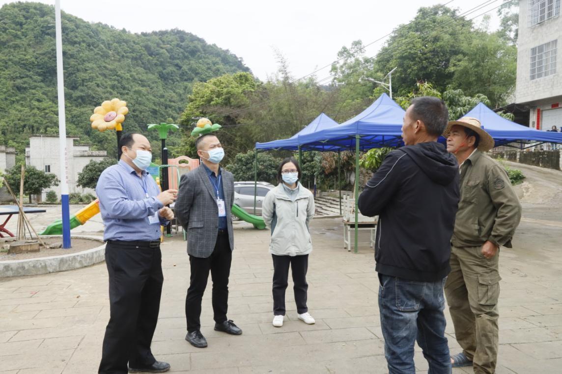 广东青梅收购最新动态，巷弄深藏的青梅瑰宝揭秘