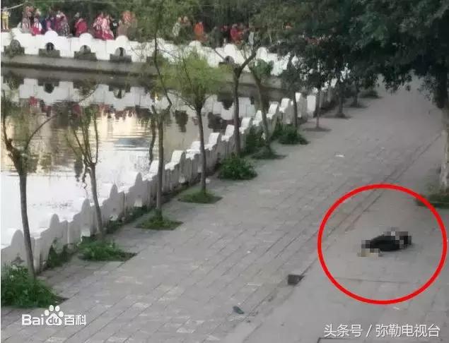 太伏学生死亡最新报道与小巷深处的特色小店探秘