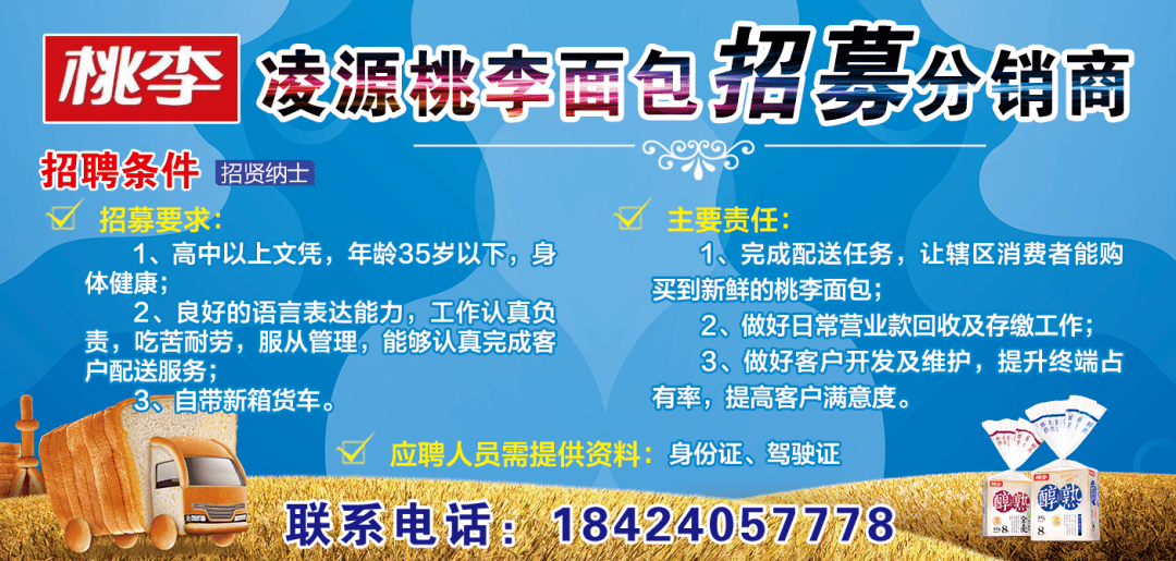 凌源最新钟点工招聘,背景、进展与影响全解析