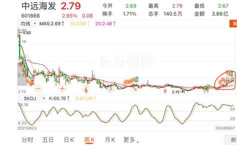 中海集运股票最新动态解析，如何获取与分析股票信息全面指南