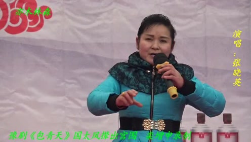 曲剧张晓英最新专辑,音乐与艺术的璀璨融合之作