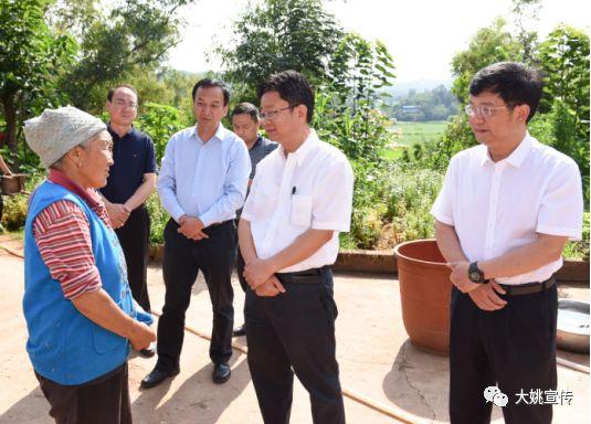 大姚新街最新动态，多维度观点分析