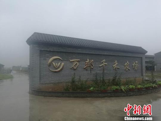 中牟县刁家乡最新规划详解与观点论述