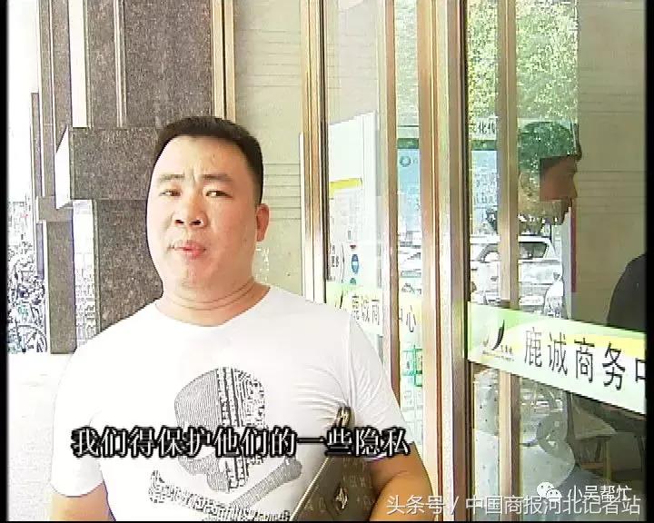 藁城招标信息平台，时代的脉搏与进步的见证