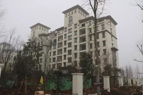 新蔡县最新楼盘价格动态，城市变迁与安居梦想的实现