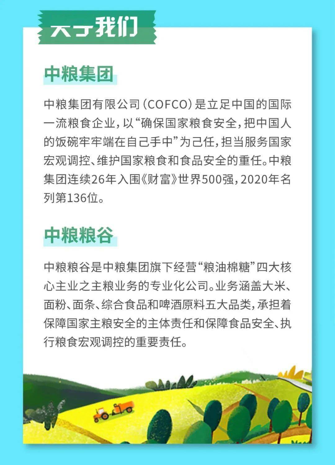 中粮招聘信息，工作奇遇与友情纽带，温暖的职业选择