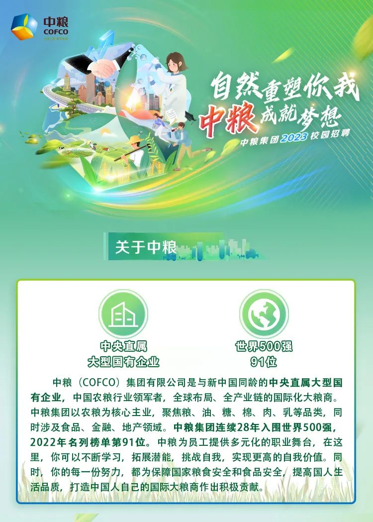 中粮招聘信息，工作奇遇与友情纽带，温暖的职业选择