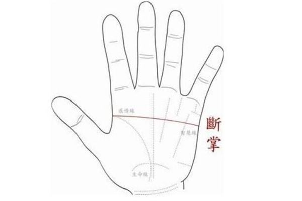 断掌演员表，小巷深处的秘密舞台人物揭秘