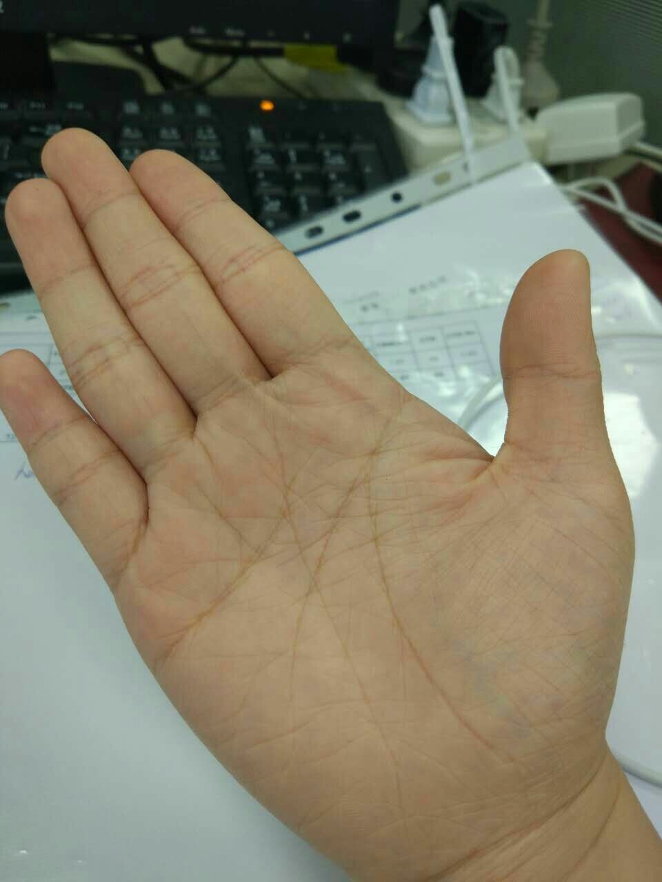 断掌演员表，小巷深处的秘密舞台人物揭秘