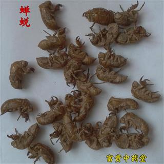 虫退行情，绿色之旅中的内心平静探寻