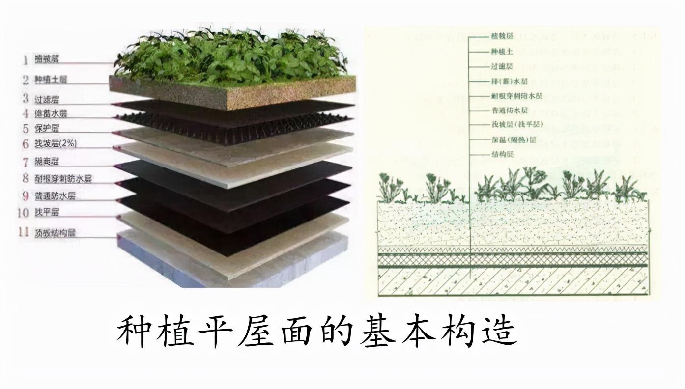 一建最新教材发布时间与小城建筑梦及友情故事的交织