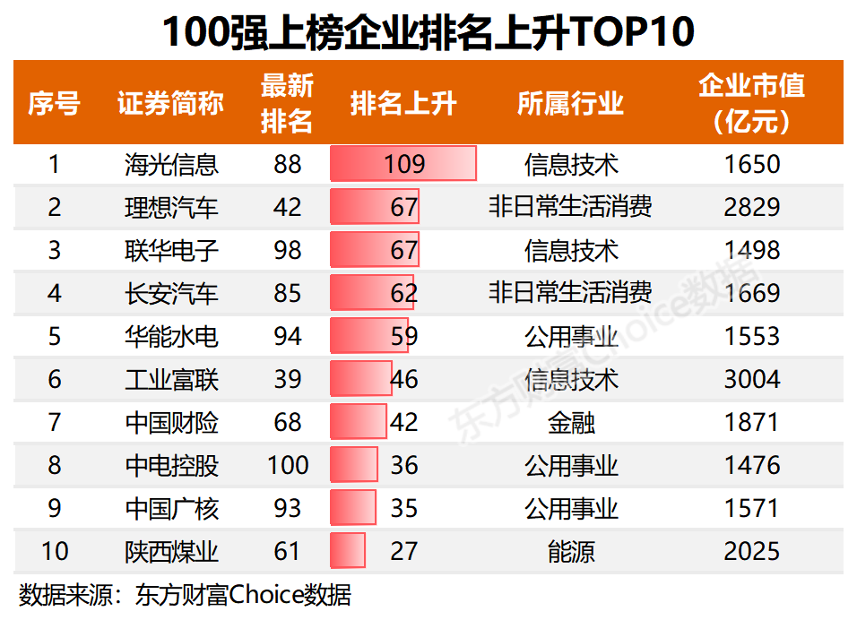 探讨行业唯一上市公司的独特地位与多重优势