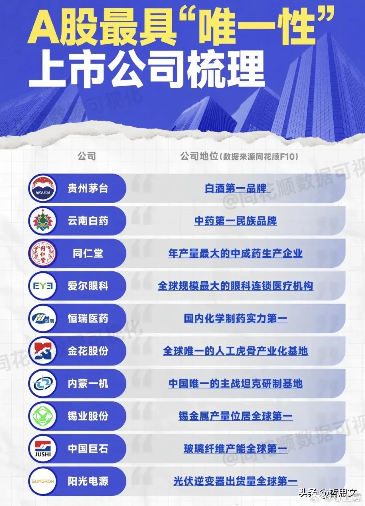 探讨行业唯一上市公司的独特地位与多重优势