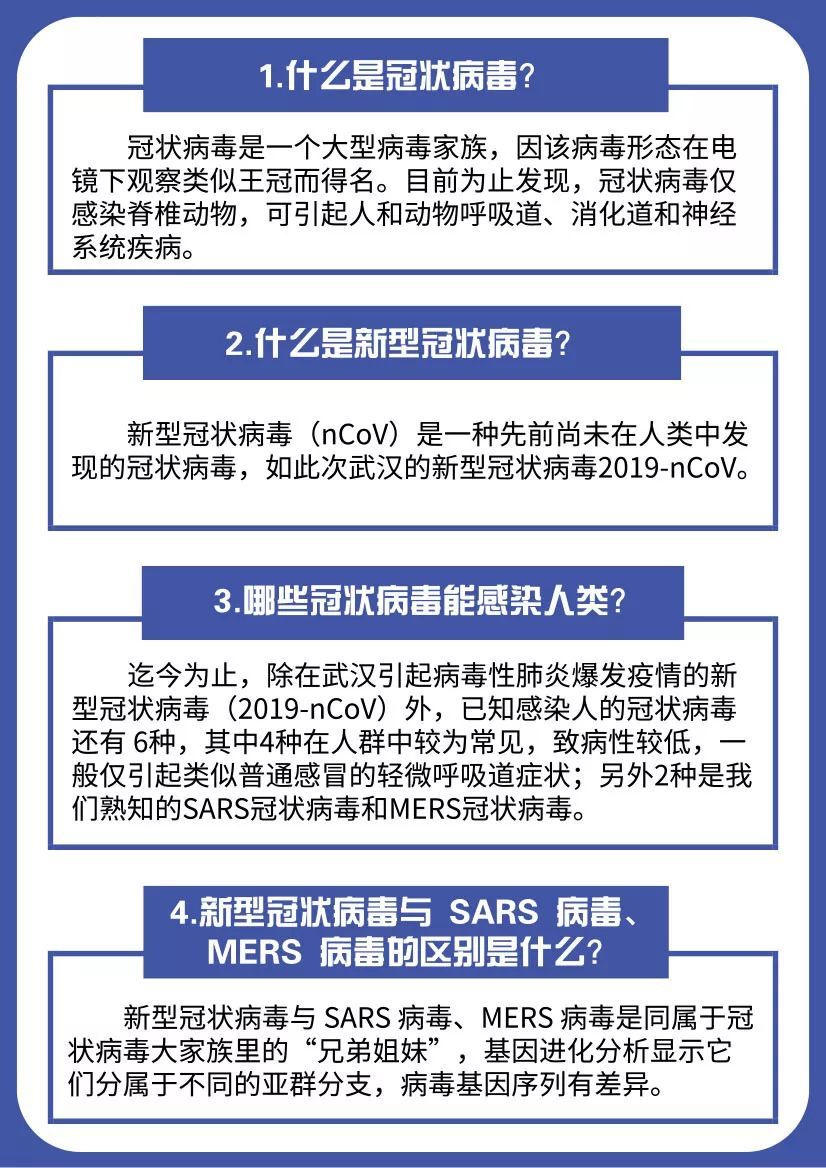 最新杆状病毒研究进展,最新杆状病毒研究进展论述