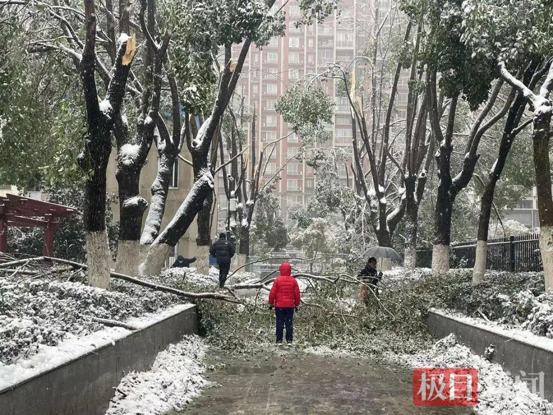 武汉最新暴雪天气分析与概述