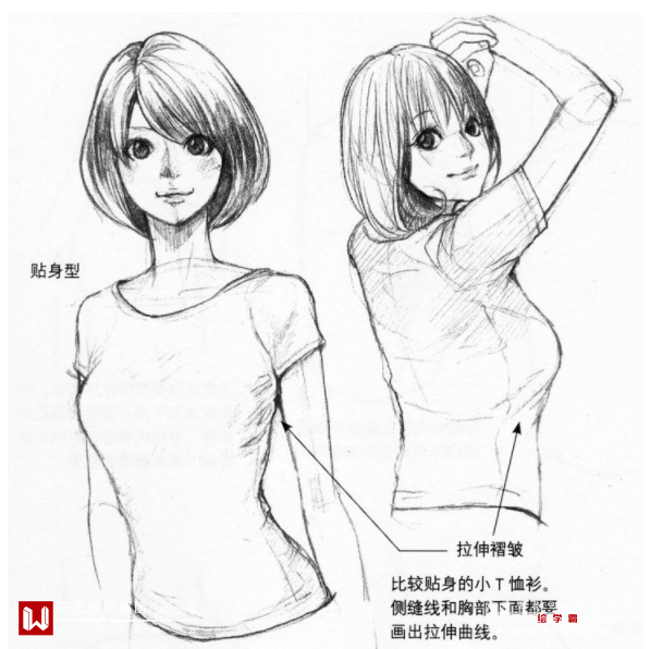 动漫大胸女生的审美争议与道德红线探讨