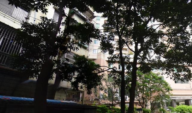 清远市最新住宅项目深度解析与观点论述