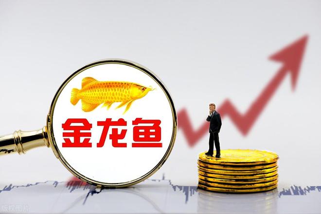 金龙鱼股票，探索特色小店的非凡魅力与小巷隐秘宝藏之旅
