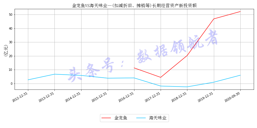 金龙鱼股票，探索特色小店的非凡魅力与小巷隐秘宝藏之旅