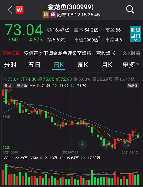 金龙鱼股票，探索特色小店的非凡魅力与小巷隐秘宝藏之旅