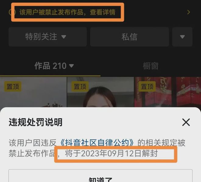 禁品小说最新发布，详细步骤指南与热门作品推荐