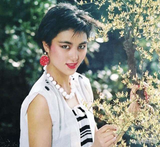 李云鹃，演艺之路的闪耀之星
