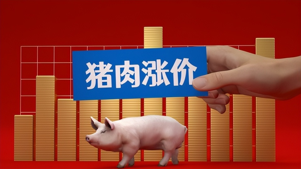 猪价最新行情,猪价最新行情，市场波动下的多元解读