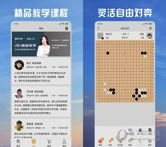 ＂2024年澳门天天彩正版免费大全＂的：实地观察解释定义_别致版9.21